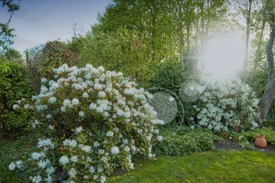Aromatic Gardens