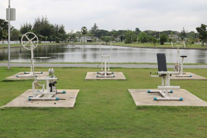 Exercise Yard
