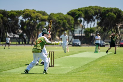 Cricket Pitch