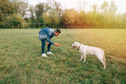 Pet Park