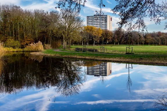Seasonal Pond