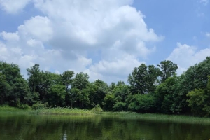 Vilasrao Deshmukh Park